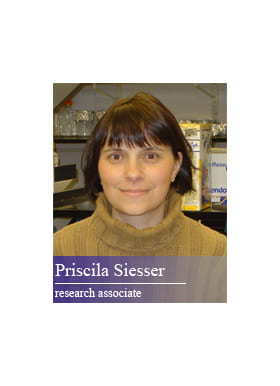 Priscila Siesser, PhD
